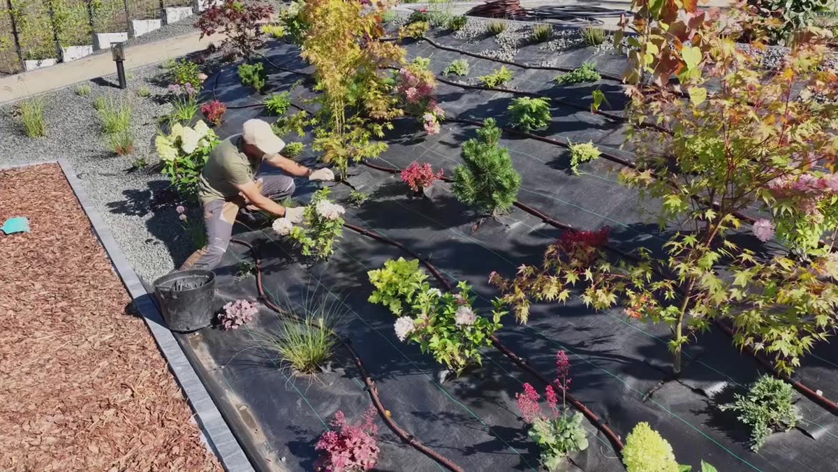 Planting a new garden bed