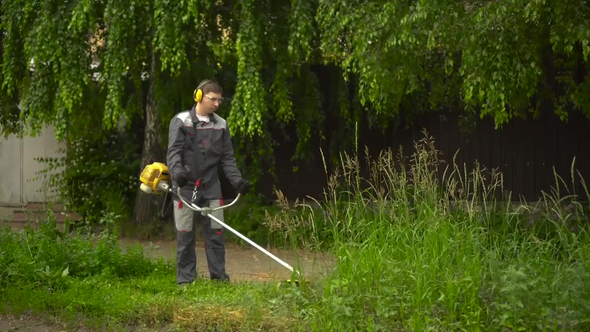 Clearing weeds and overgrowth